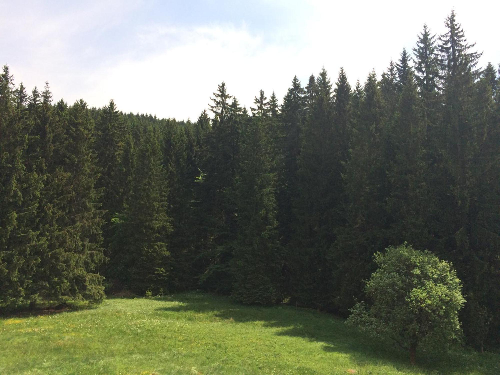 Appartements Und Ferienhaus Gasthof Kanzlersgrund Оберхоф Экстерьер фото