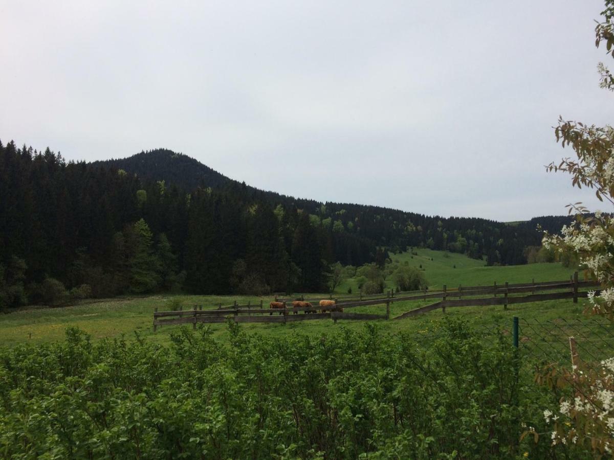 Appartements Und Ferienhaus Gasthof Kanzlersgrund Оберхоф Экстерьер фото